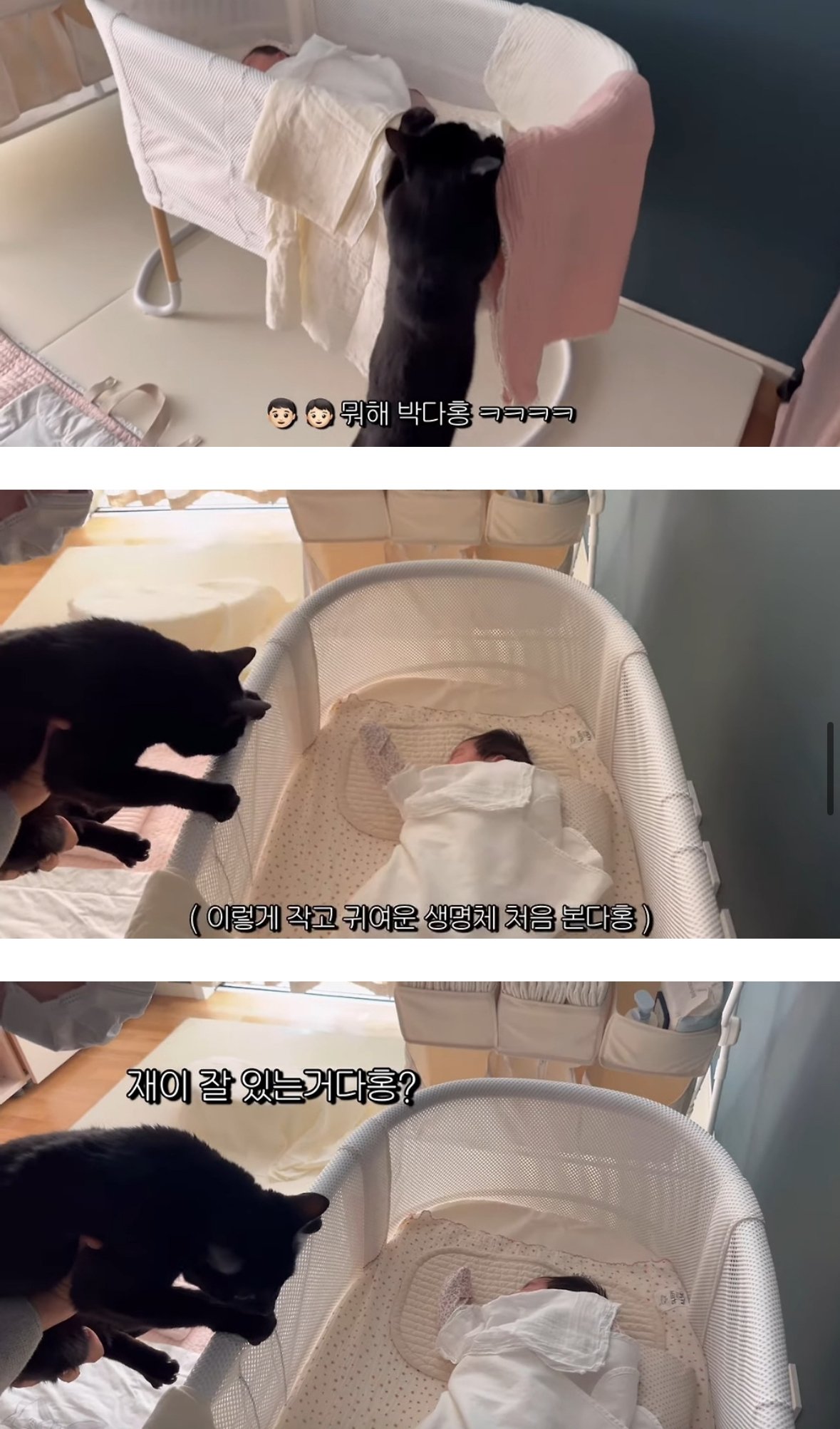 이제 네 식구가 된 박수홍집