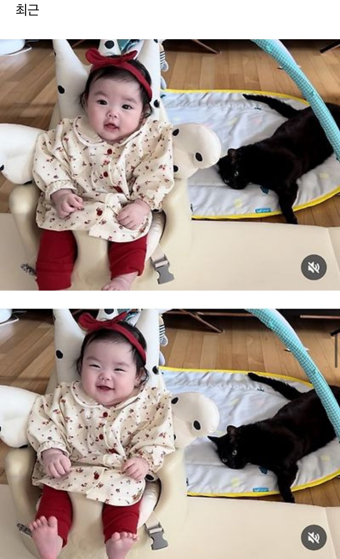 이제 네 식구가 된 박수홍집