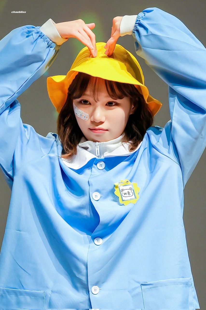 [르세라핌] 어른 김채원 유치원생