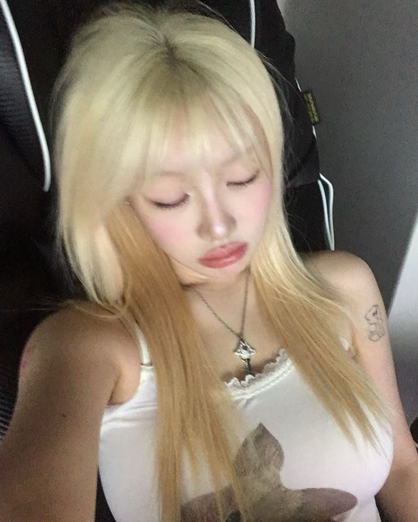 기무세딘