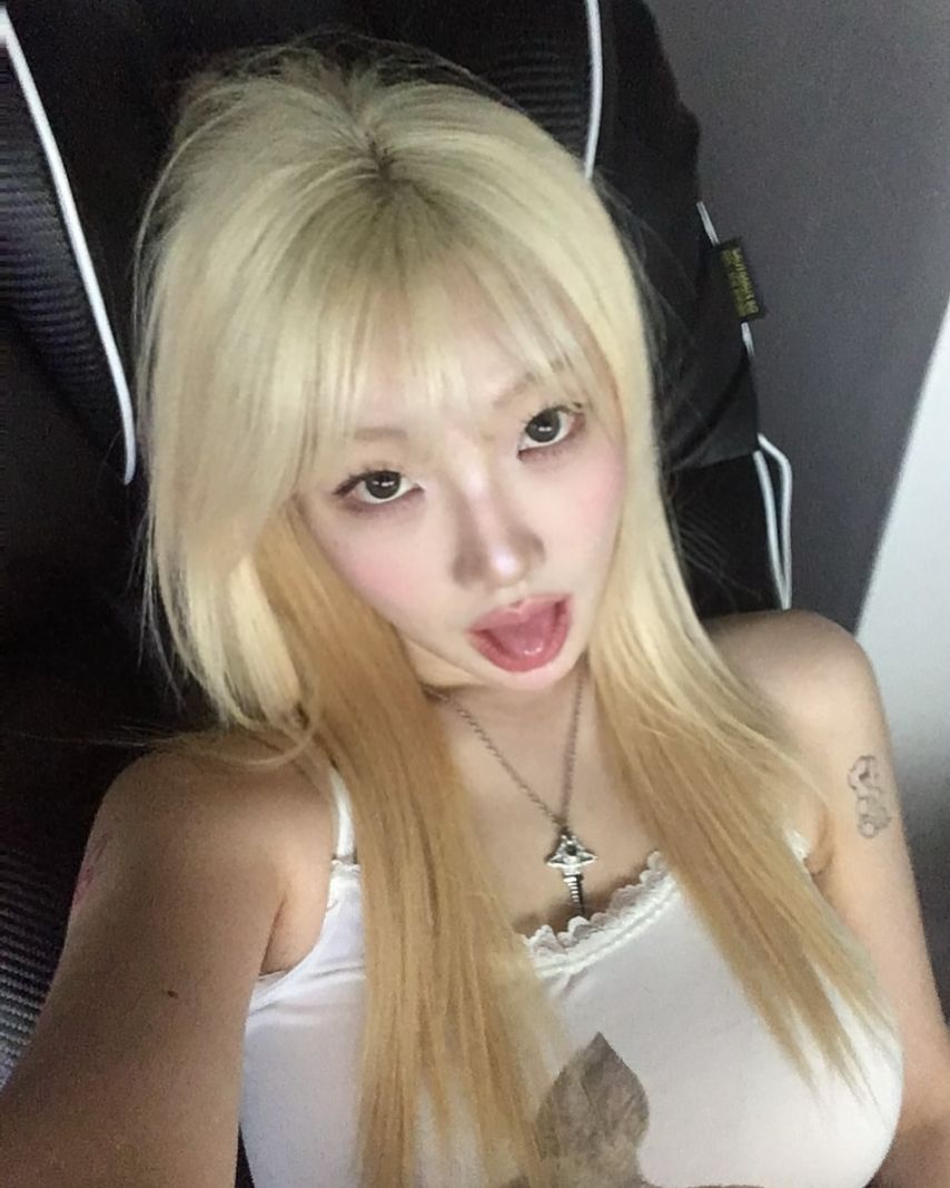 기무세딘