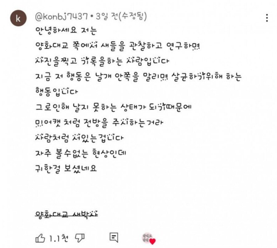 꽁꽁 얼지 않은 한강옆에.