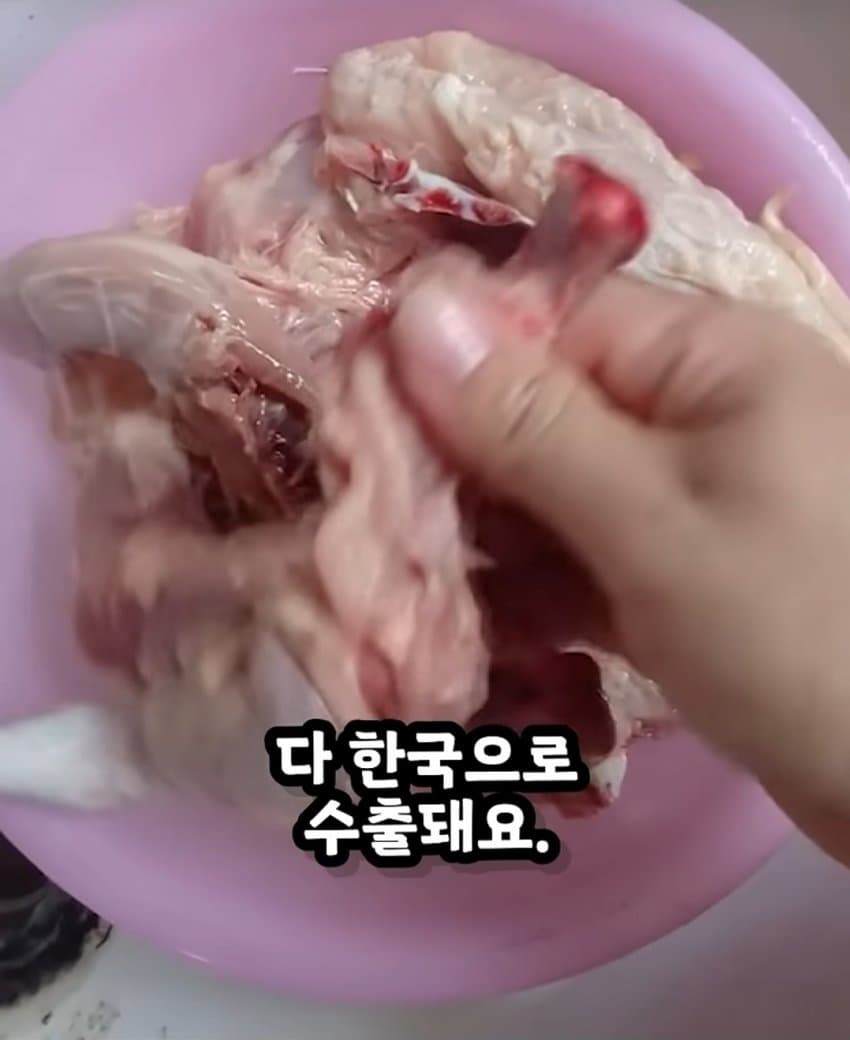 한국에 수출하는 중국 닭공장이라고 퍼지는 짤