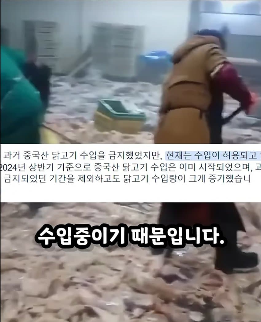 한국에 수출하는 중국 닭공장이라고 퍼지는 짤