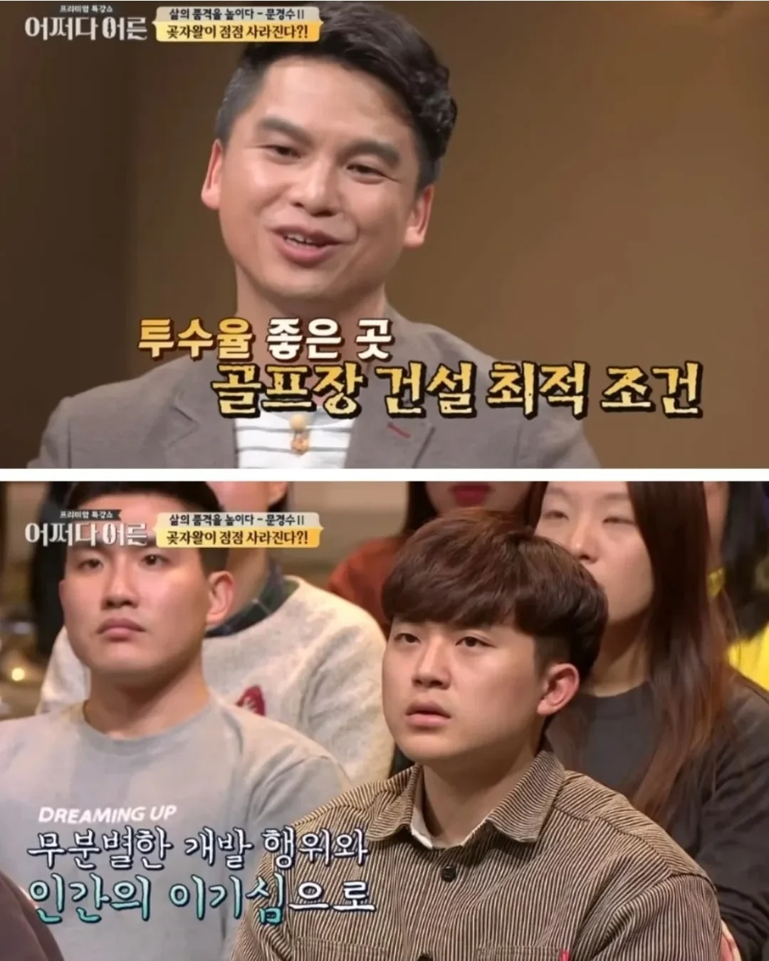 비밀이 밝혀진것이 독이 된 숲