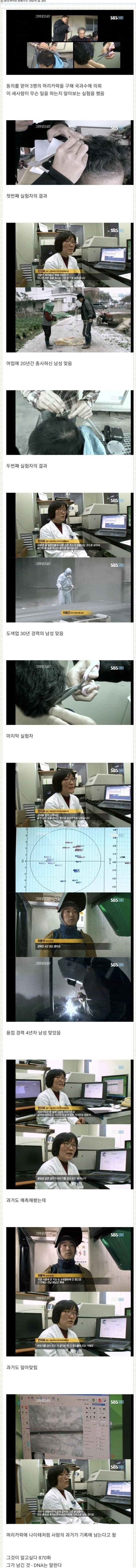 의외로 머리카락으로 알 수 있는 것