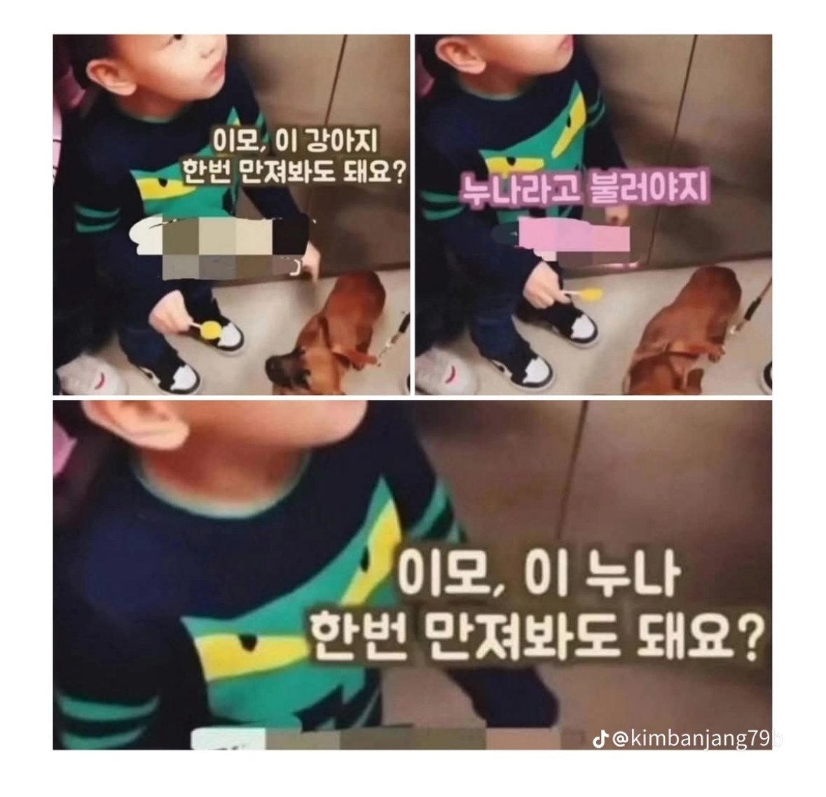 이모 이 누나 만져봐도 되요?
