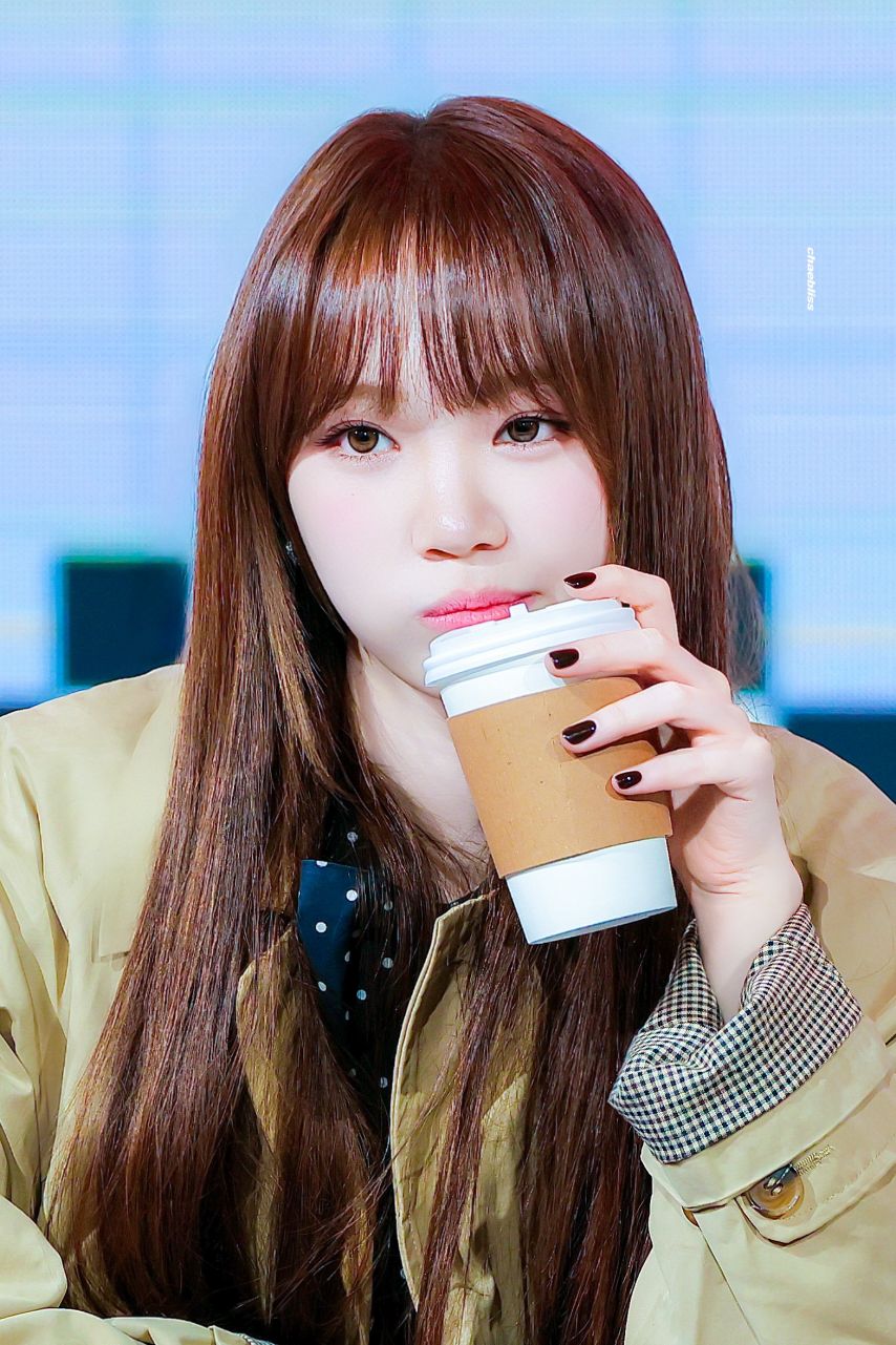 르세라핌 김채원