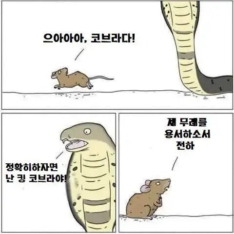 뱀 해독제 개발에 혁명을 일으킬 수 있는 남자