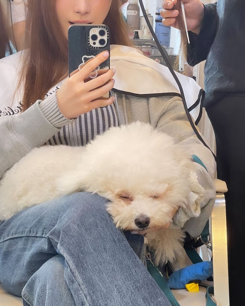 시그니처 채솔 인스타
