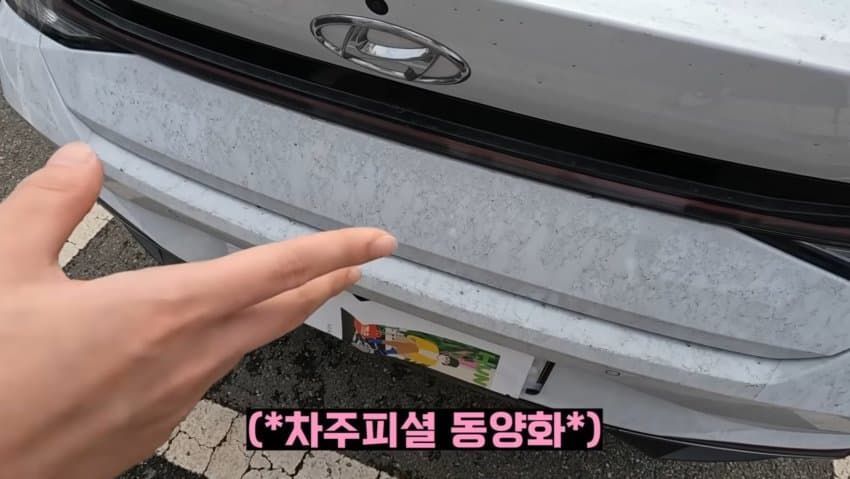 03년생 일진누나의 첫차