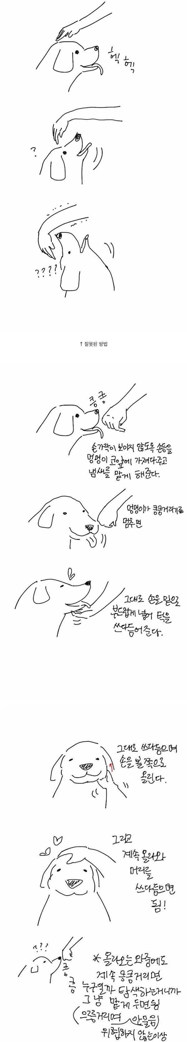 처음 보는 개를 만질때 매너