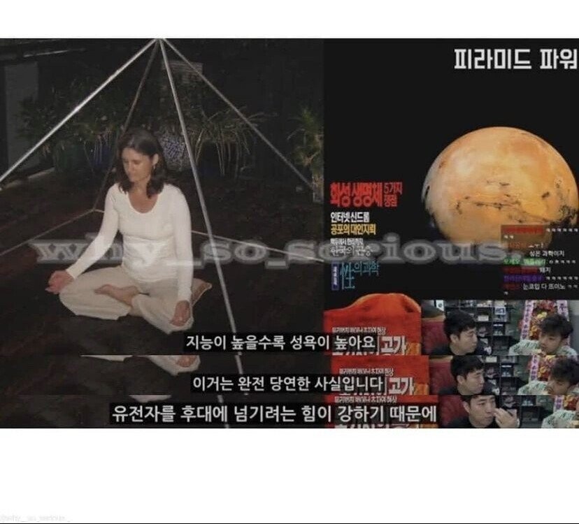 지능이 높을수록 성욕이 강하다