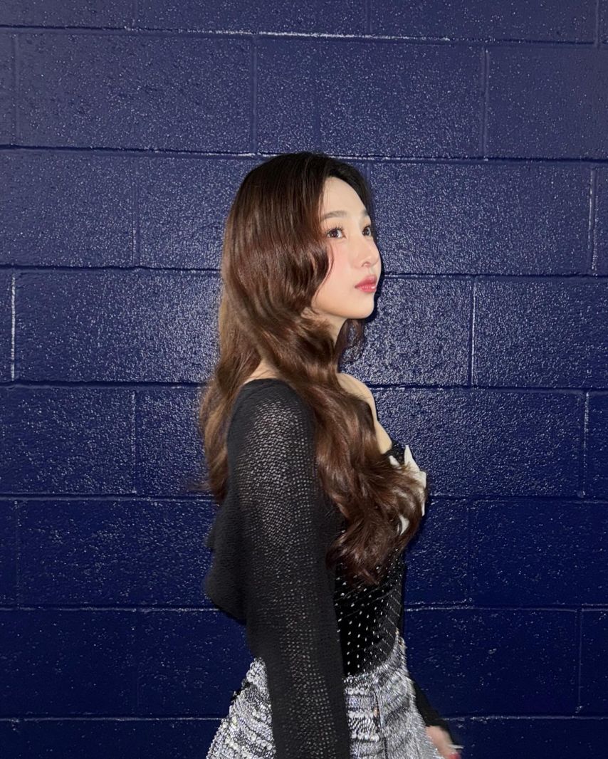 조이 레드벨벳 인별