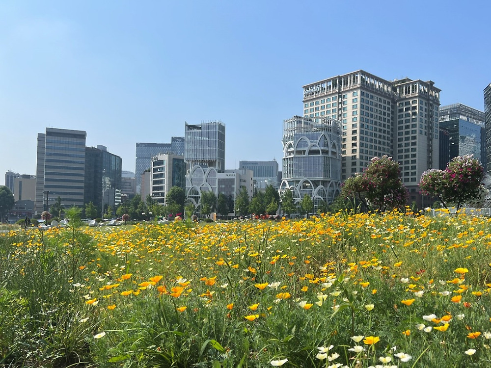 한국에서 골목, 거리가 가장 예쁜 지역