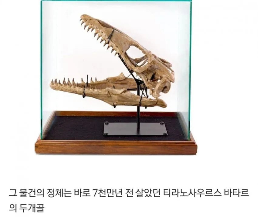 경매에서 𝟰억 날린 헐리웃스타