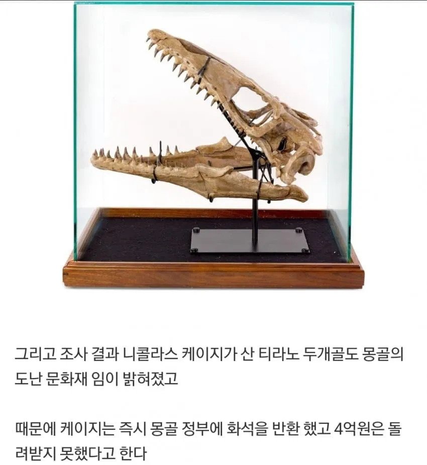 경매에서 𝟰억 날린 헐리웃스타