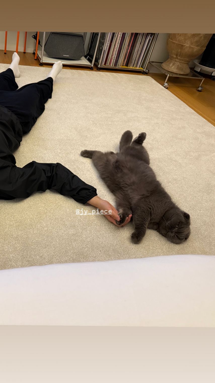 공승연 인별