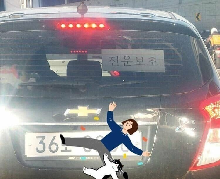 도로에서 무조건 피해야 하는 차들..