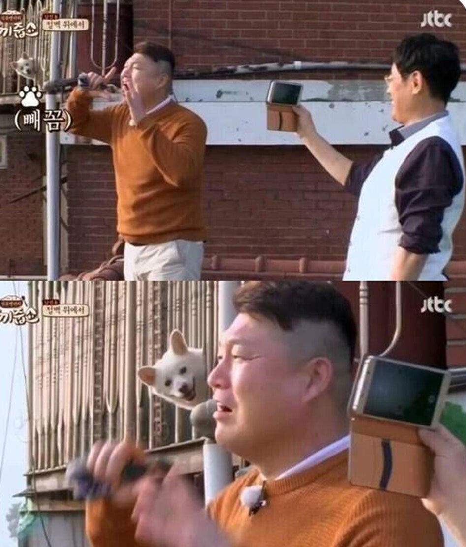 집앞에 연예인 왔다고 해서 1열에서 구경 중