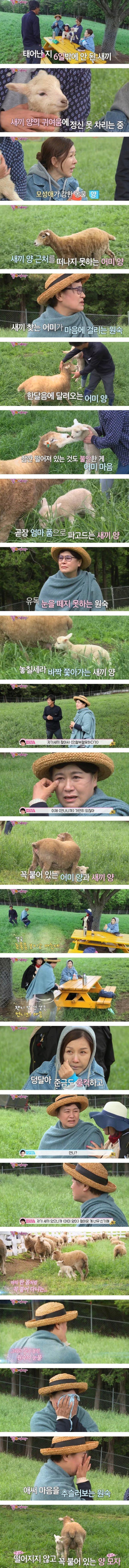 내자신보다 소중한것이 생겼다 사라진다는건