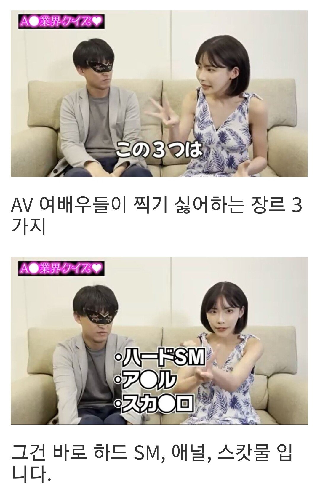 AV배우가 말하는 AV배우들이 찍기 싫어하는 3대 장르