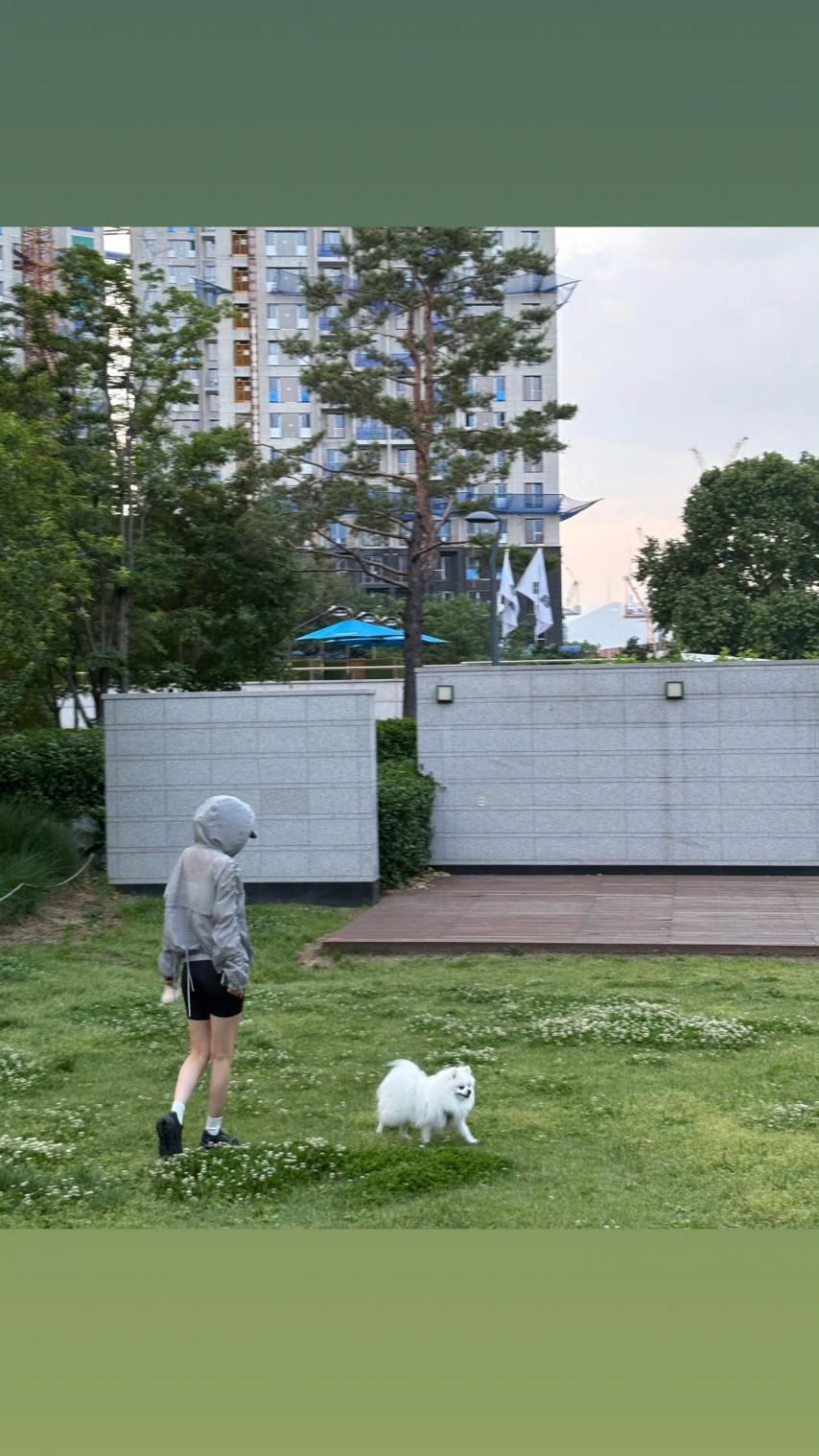 르세라핌 김채원,사쿠라 _ 김채원 W