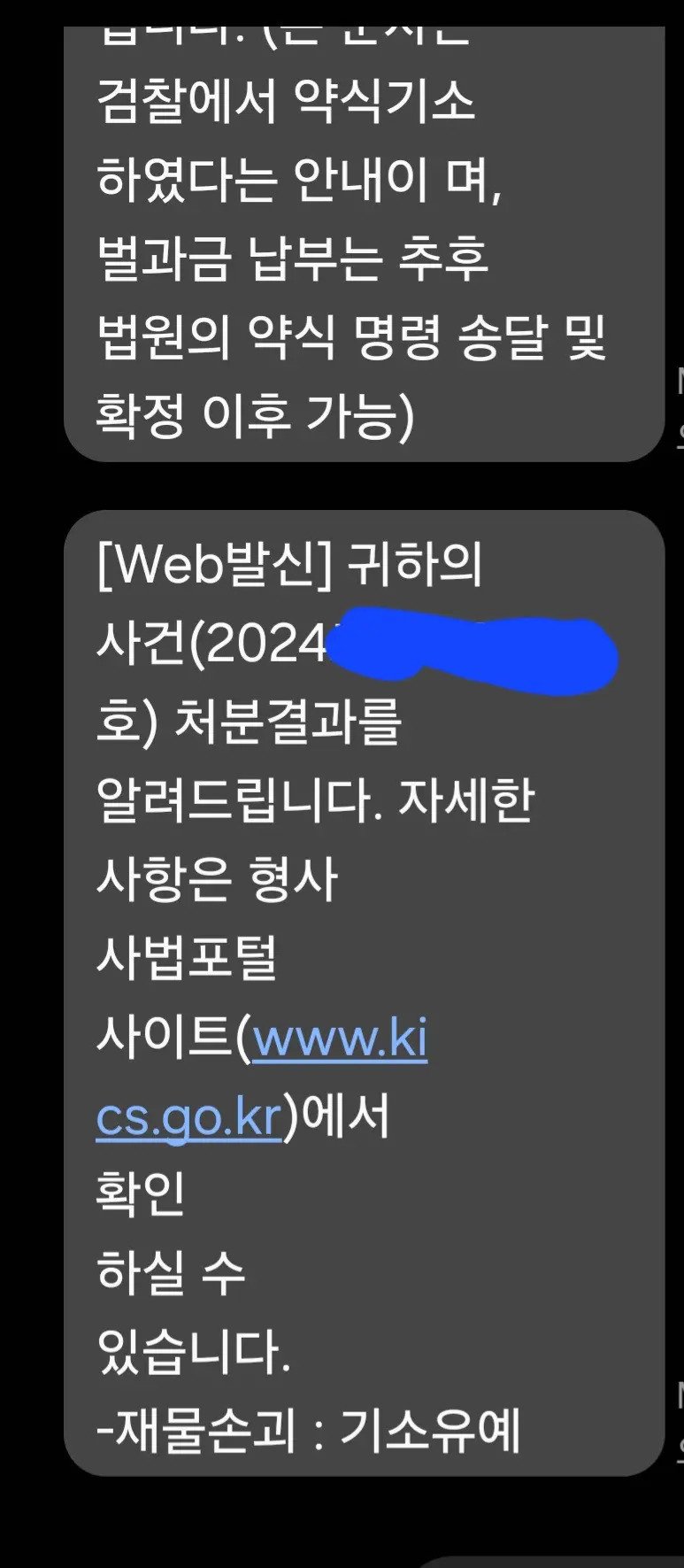 경찰 조사 받은 자전거 자물쇠 빌런 ㄷㄷㄷ