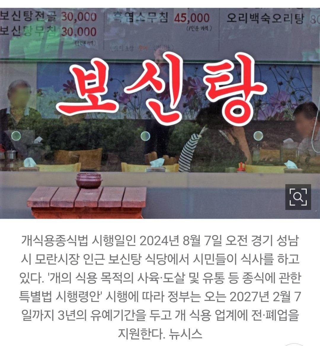 [단독]개고기 종식에 ‘예비비’ 834억 긴급 투입한다