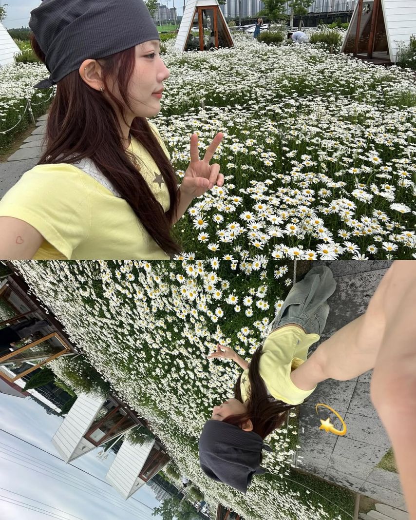 ARTMS 김립