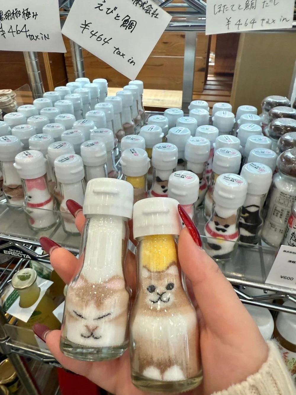 동물 소금통