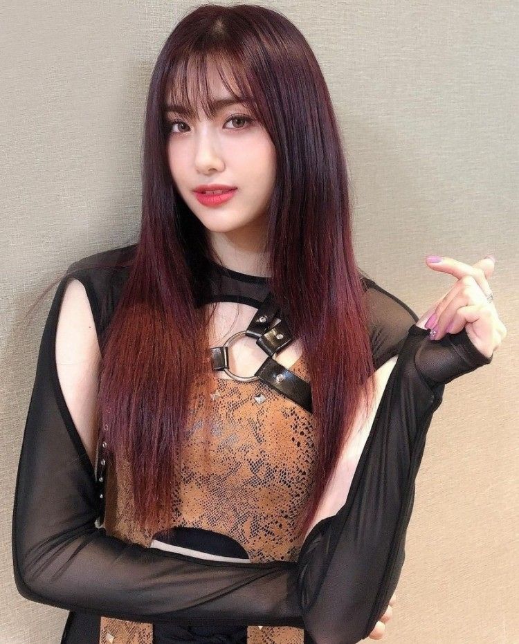 에버글로우 아샤