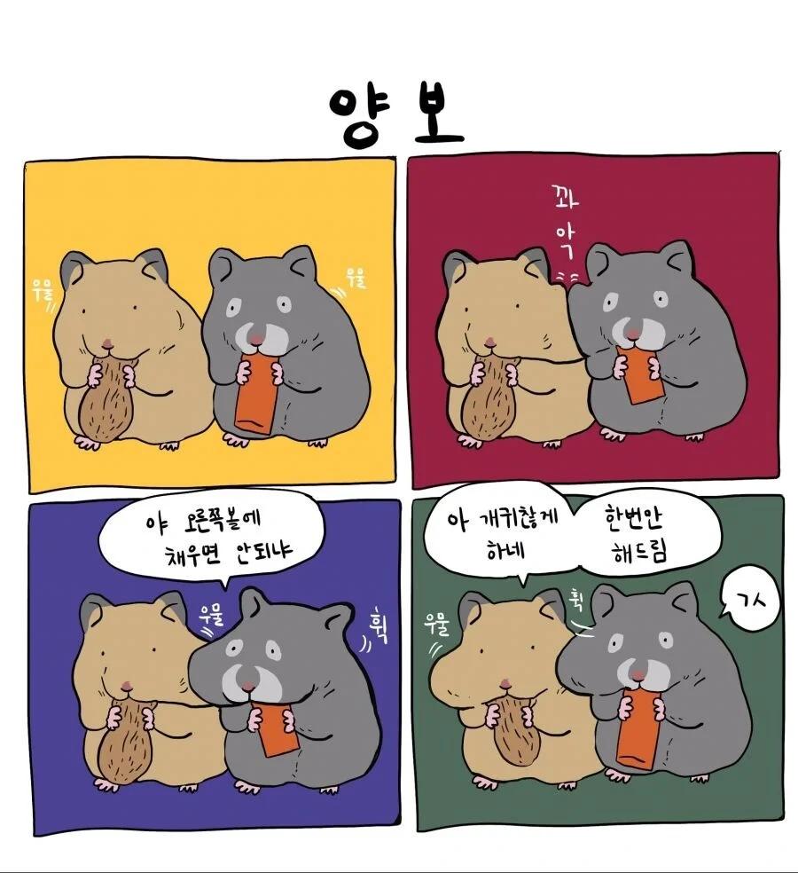 합의와 양보의 차이