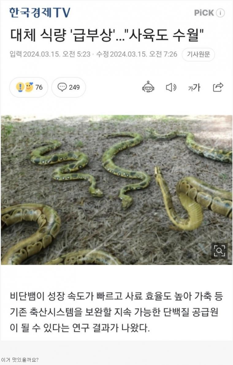 대체식량으로 급부상 중인 동물