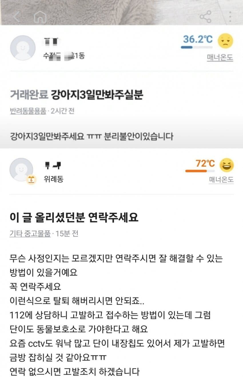 당근에서 강아지 돌보기 알바하면 안되는 이유