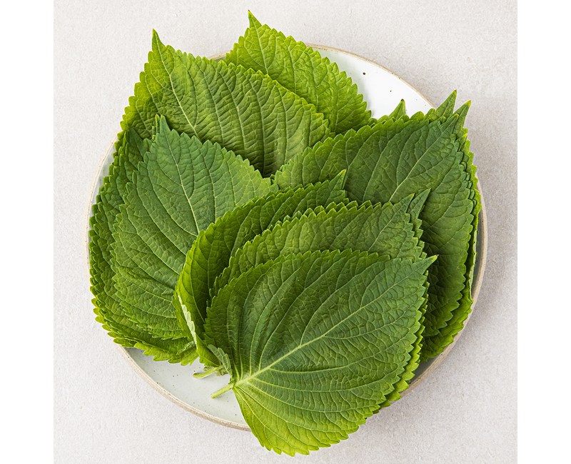 국내산 깻잎, 60g, 1팩