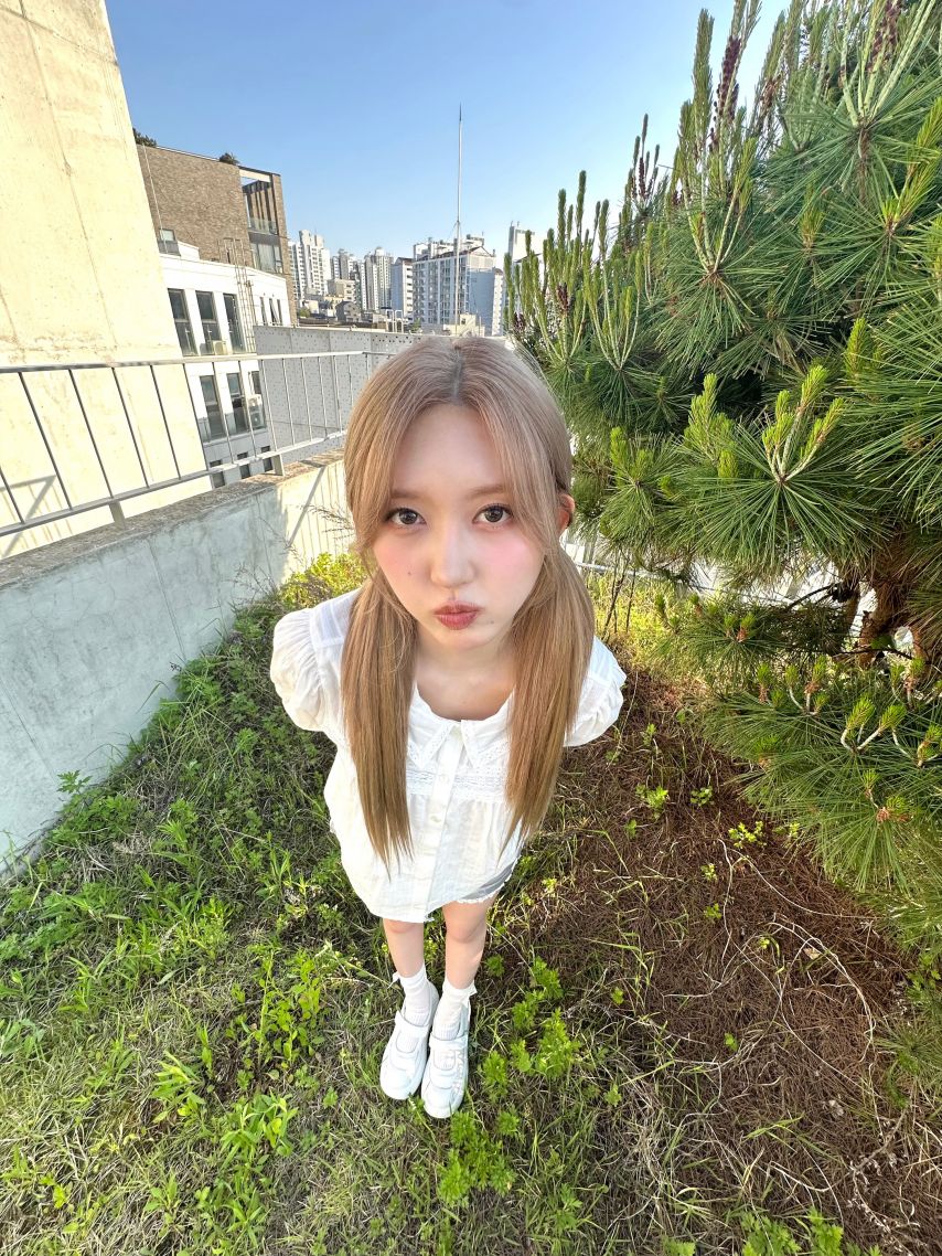 아이브