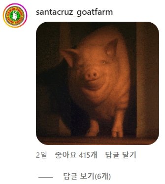 인스타에서 욕먹고있는 여경 두 명 ㄷㄷㄷ