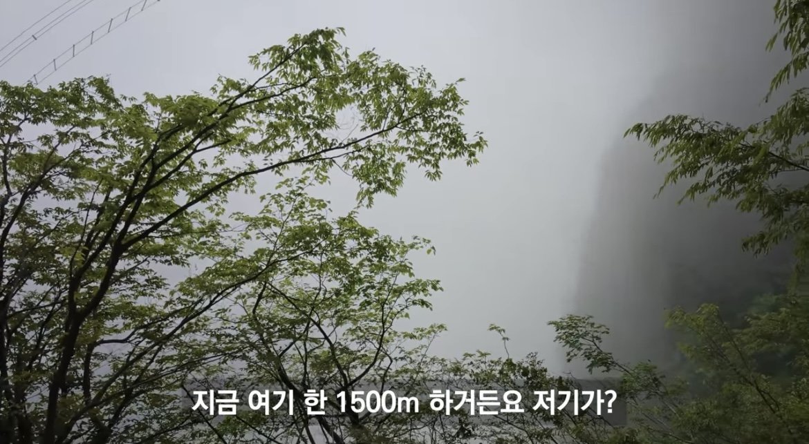 중국 장가계 1500m 하늘사다리 체험해본 유튜버