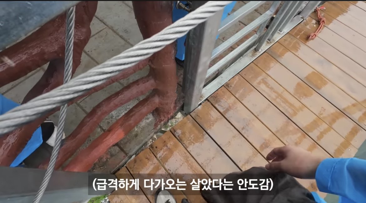 중국 장가계 1500m 하늘사다리 체험해본 유튜버