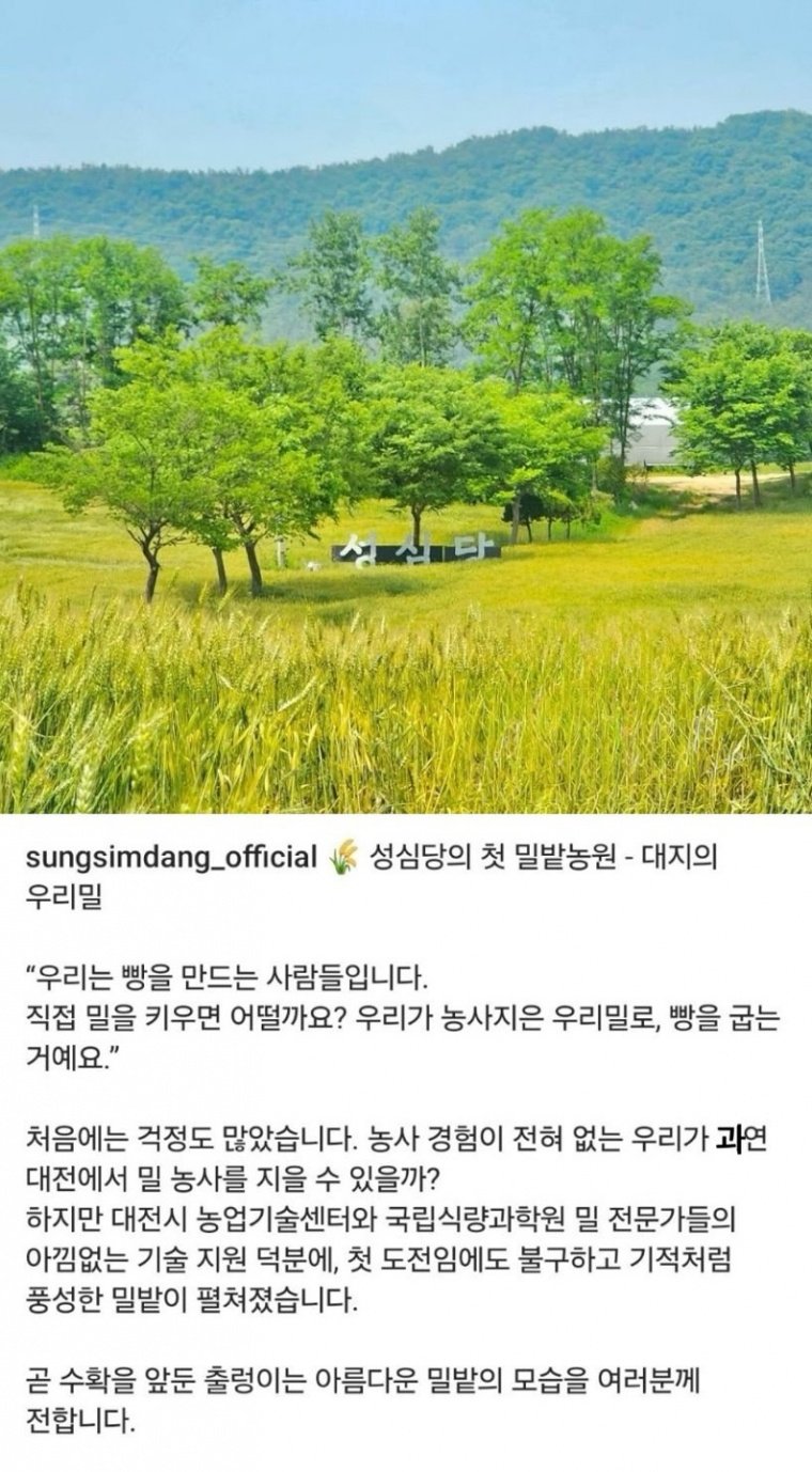 자급자족 시도하는 성심당