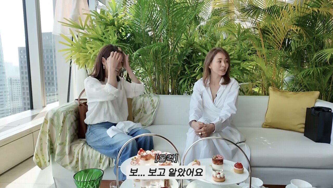 레스토랑에서 울면서 싸운 야노시호와 추성훈