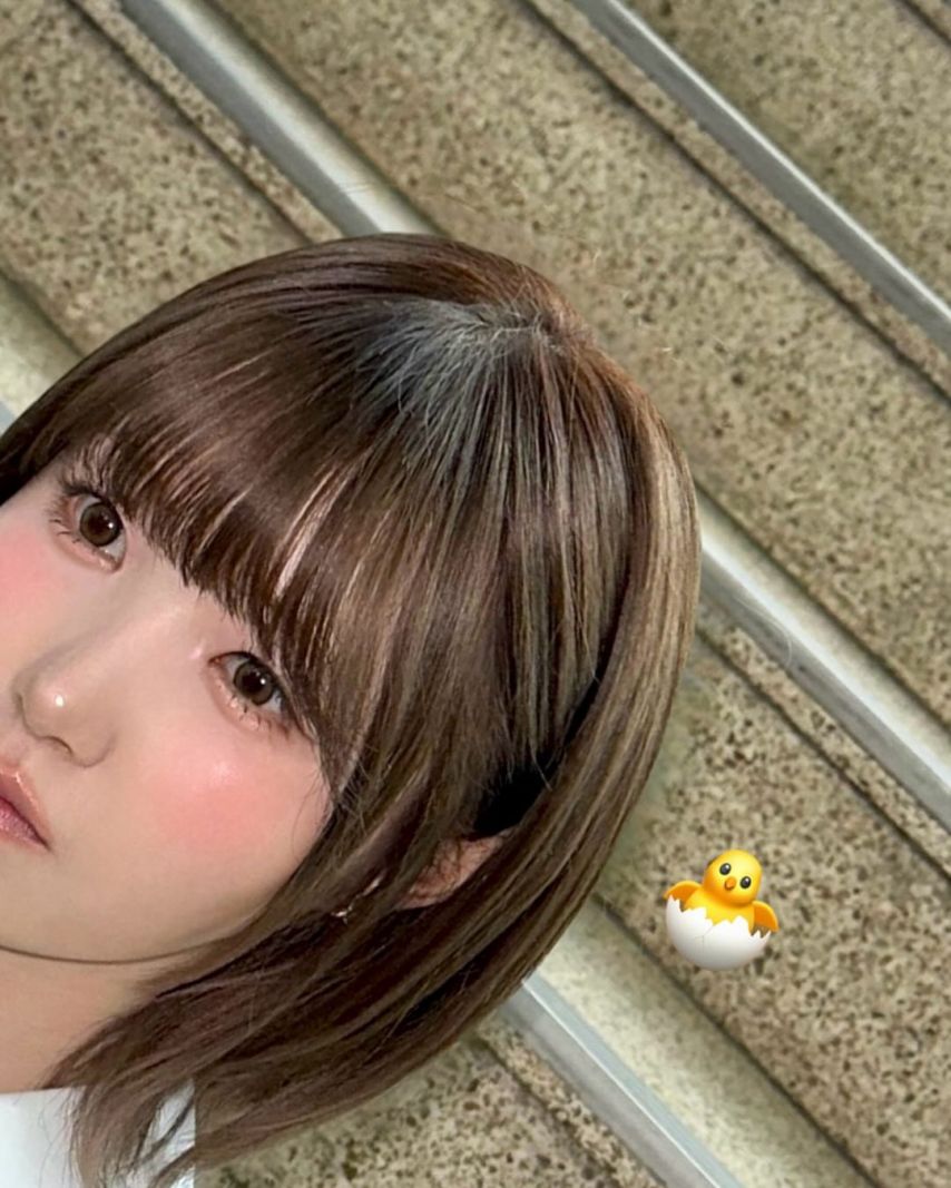 세이마이네임 히토미