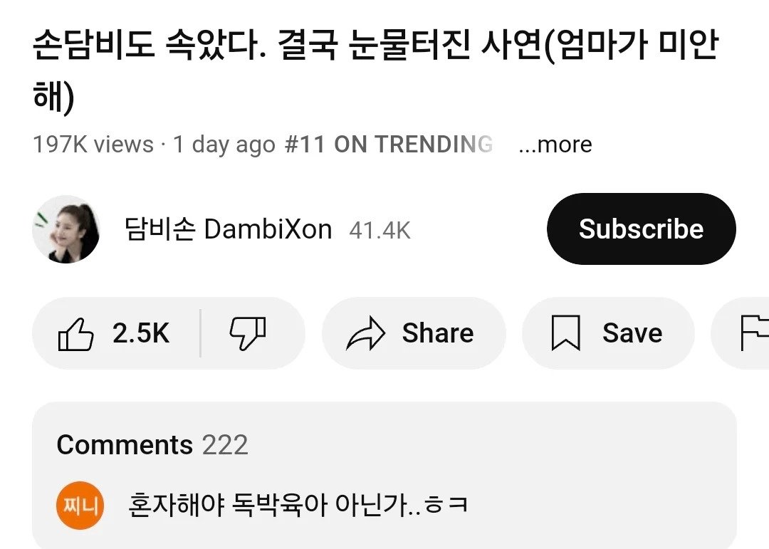 출산한 손담비 근황...