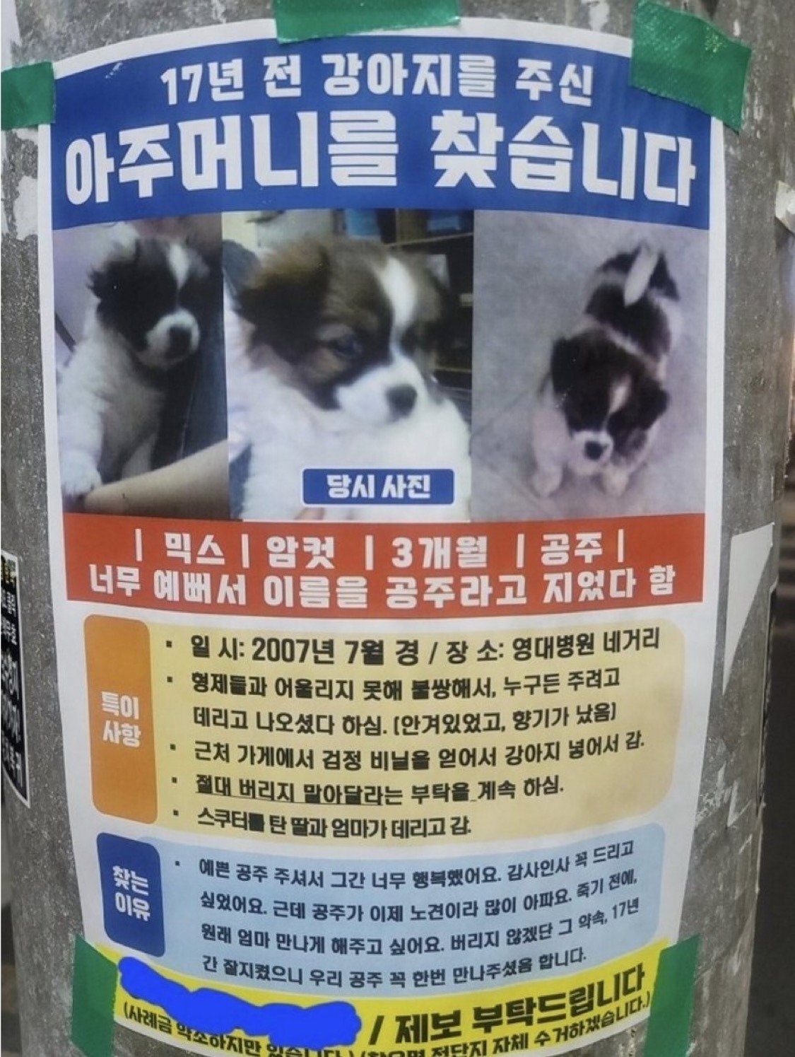 17년 전 강아지를 주신 아주머니를 찾습니다ㅜㅜ
