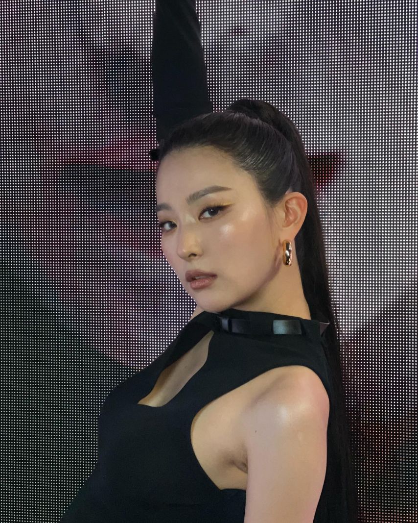 슬기 레드벨벳 인별