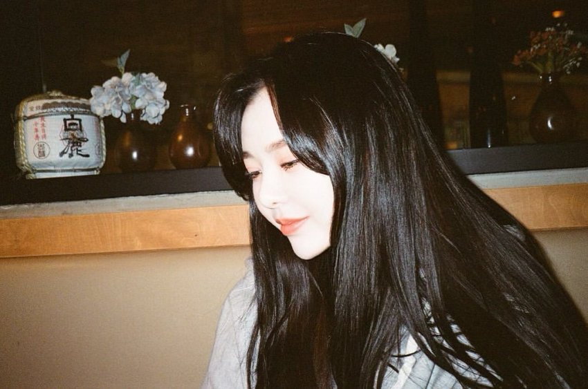 소나무-김도희