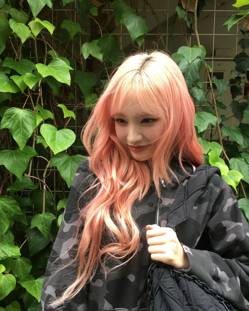 아이브 리즈