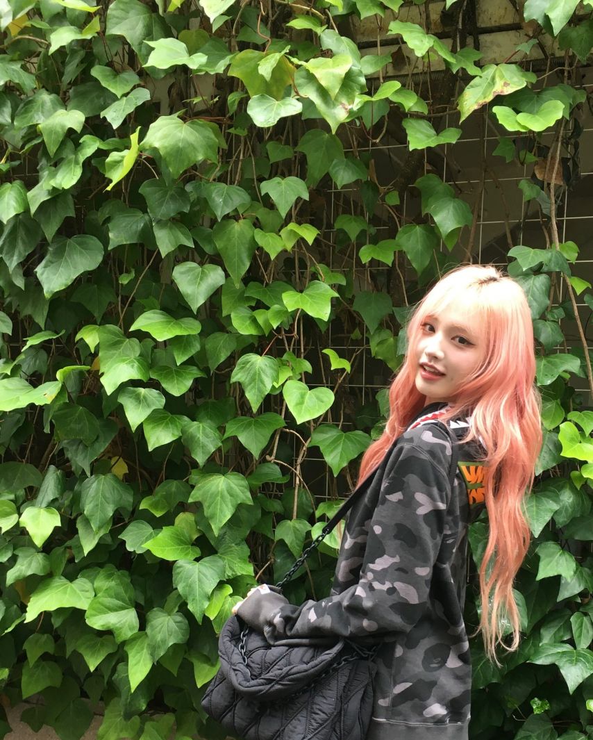 아이브 리즈
