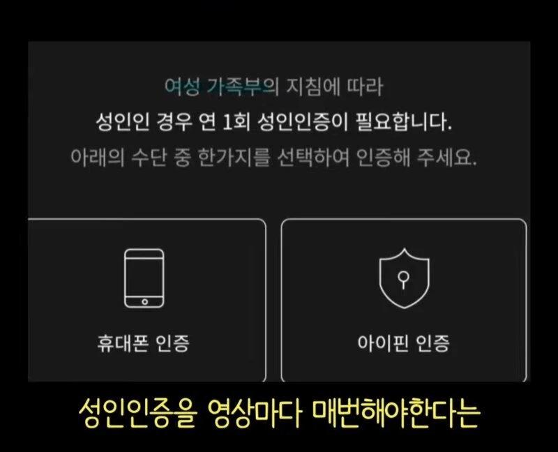 넷플릭스가 매년 1회 성인인증 하는 이유